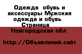 Одежда, обувь и аксессуары Мужская одежда и обувь - Страница 4 . Новгородская обл.